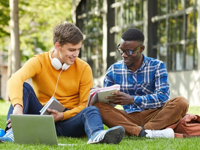 Two young male students working on a campus lawn