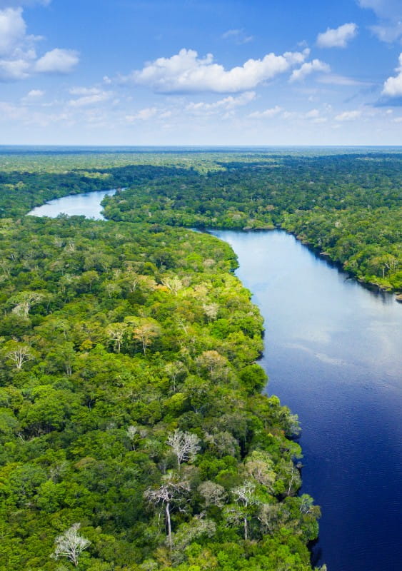 Longshot of river running through forest under a blue sky