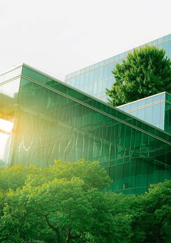 Looking up at part of a glass building up to the canopy of a tree