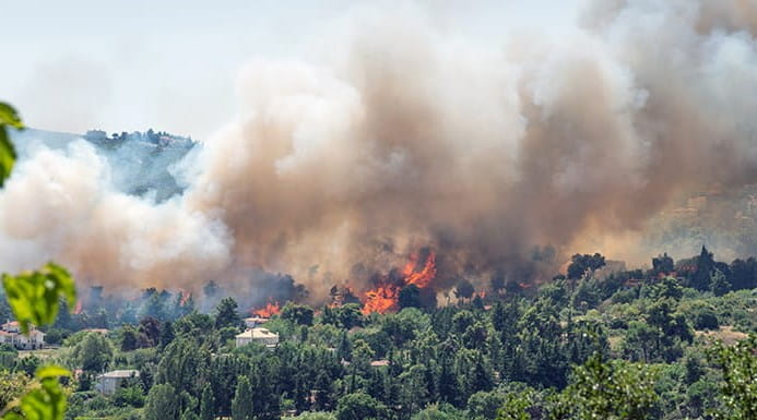 Flames and smoke from a forest fire